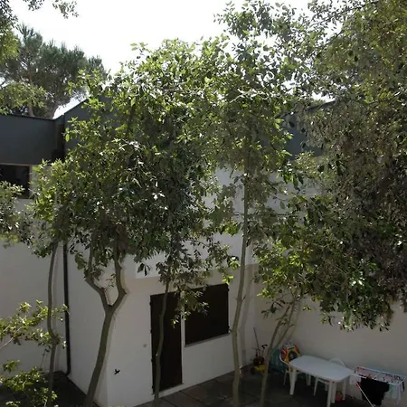 In 33313 Apartment *